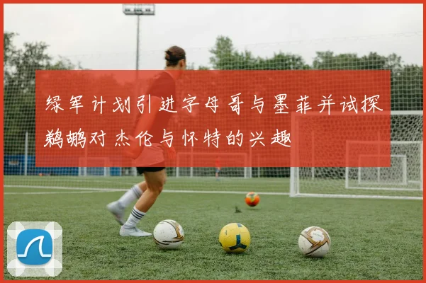 绿军计划引进字母哥与墨菲并试探鹈鹕对杰伦与怀特的兴趣