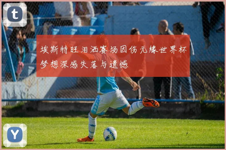 埃斯特旺泪洒赛场因伤无缘世界杯梦想深感失落与遗憾