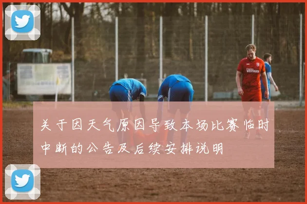 关于因天气原因导致本场比赛临时中断的公告及后续安排说明