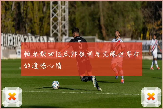 帕尔默回忆瓜帅教训与无缘世界杯的遗憾心情